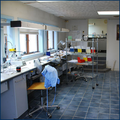 osnivanje laboratorije Osnivanje laboratorije za zubnu tehniku